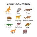 Animals of Australia on a white background.Flat cartoon illustration for kids